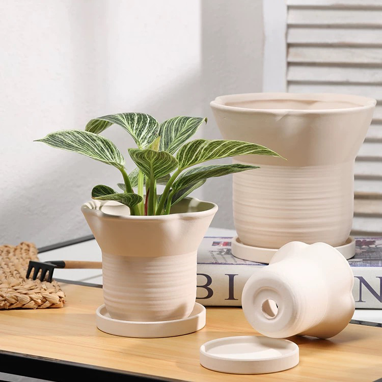 Cement Pots