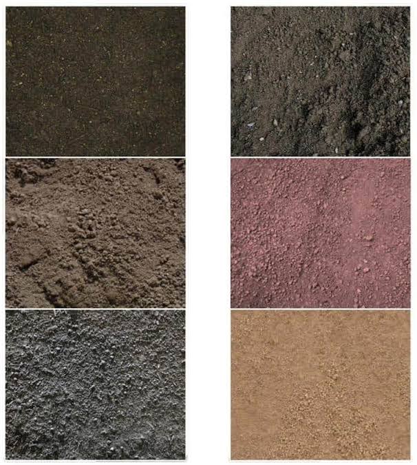 5 Cu. yd. Bulk Topsoil