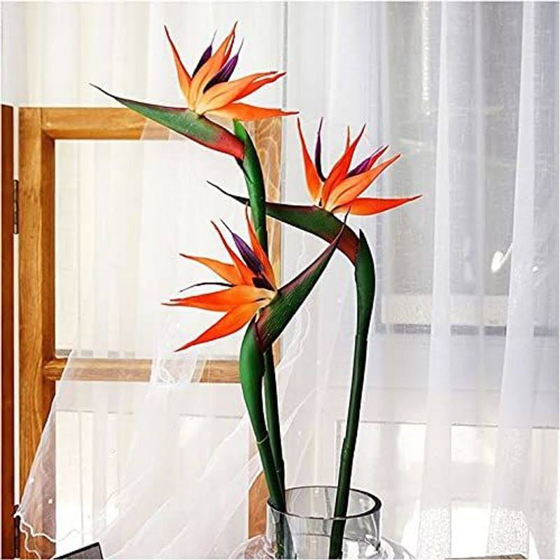 JOSON 3 Pcs 32 inch Orange Red Large Bird of Paradise Permanent Flower,flower Part Is Made of Soft Rubber PU No Fade,Artificial Flower Plants for