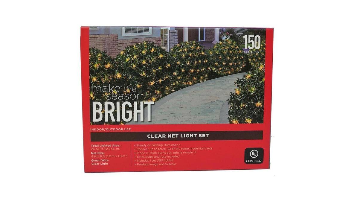 Festive Voice Indoor & Outdoor Net Light Set | Walgreens