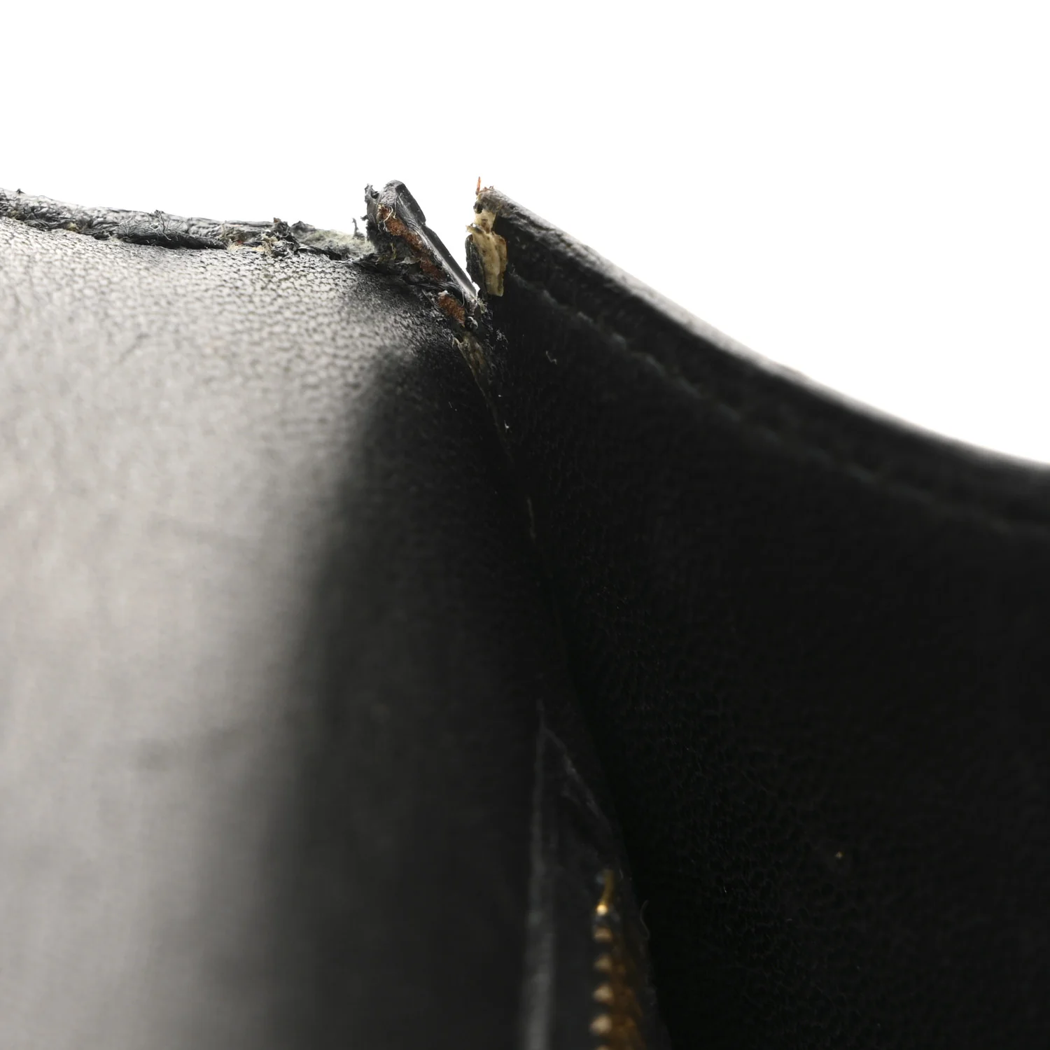 Shiny Caiman Crocodile Constance 23 Black