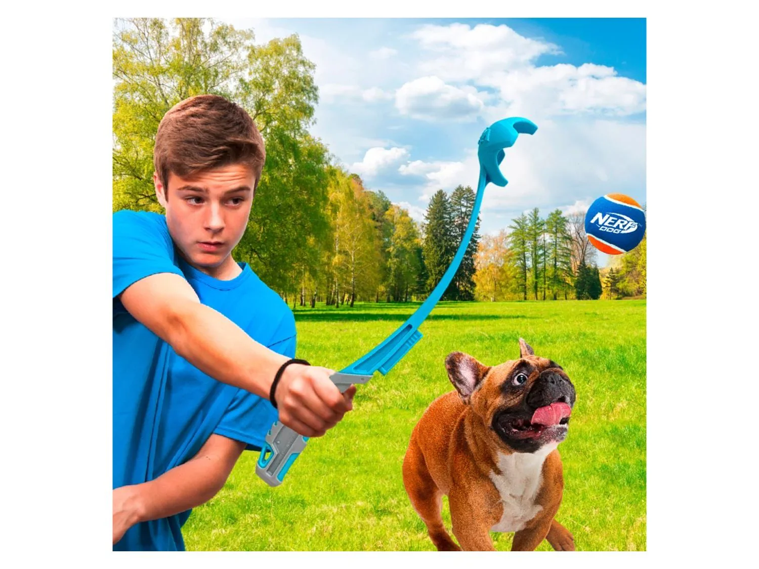 Nerf Dog Lanceur ou Balles de tennis