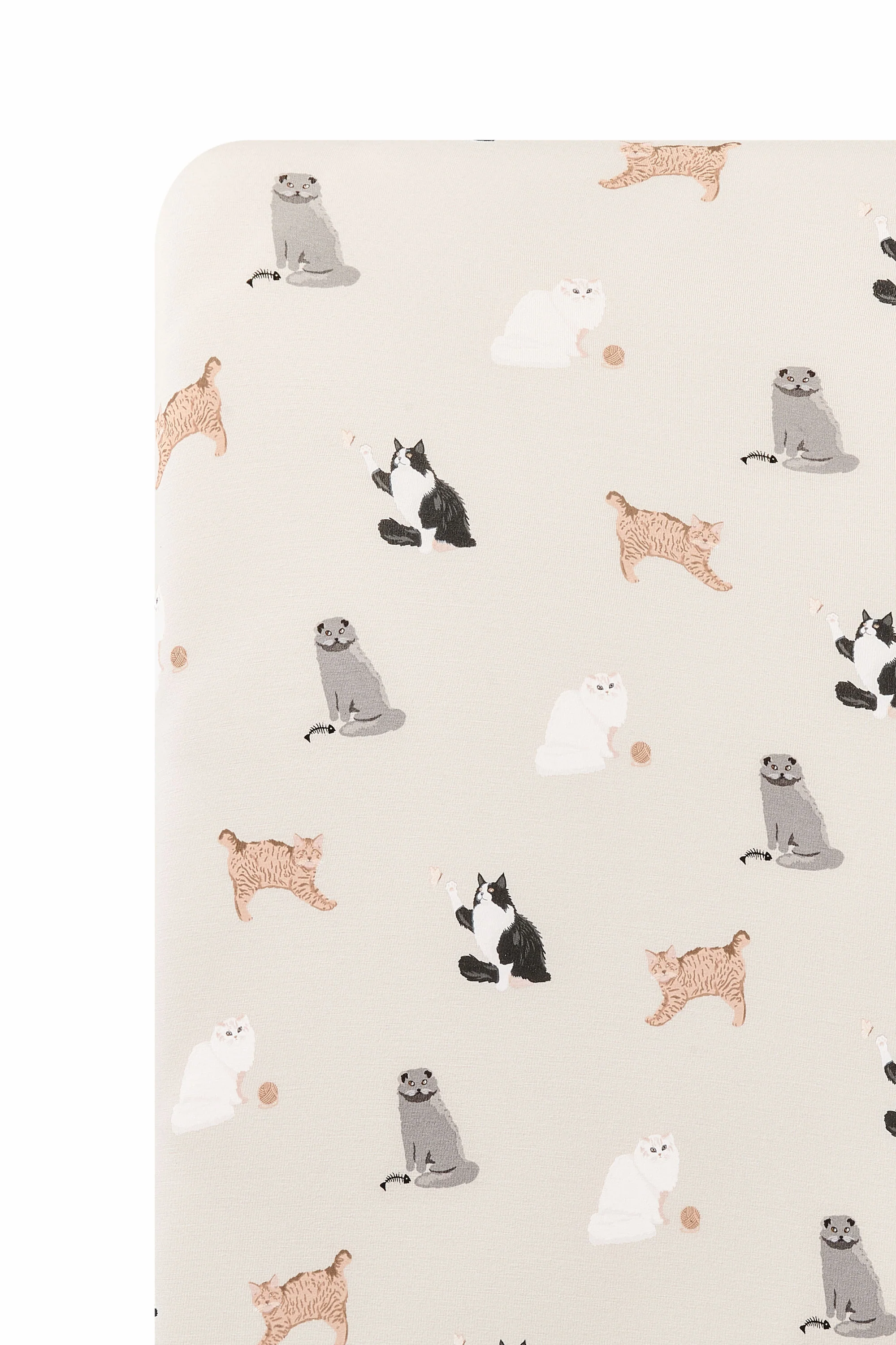 Twin Sheet in Fluffy Cat