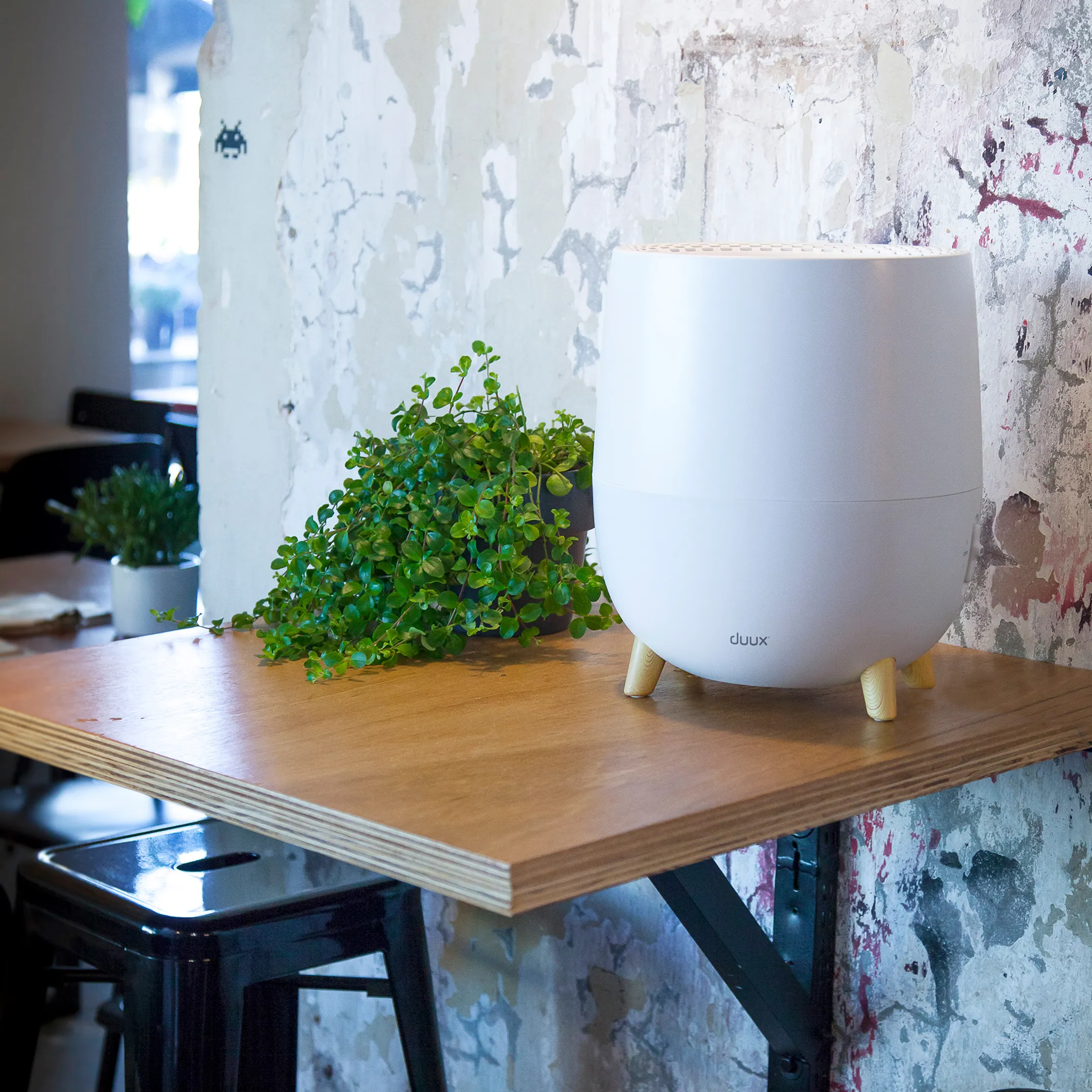 DUUX Luchtbevochtiger Ovi