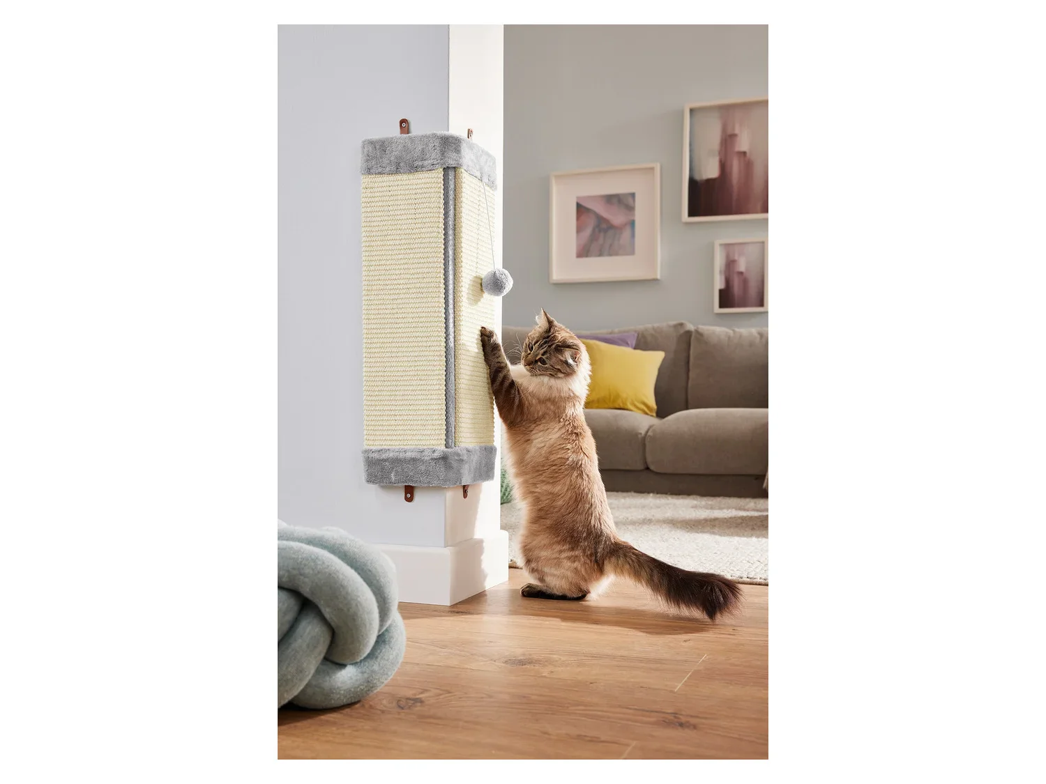 zoofari Griffoir pour chat