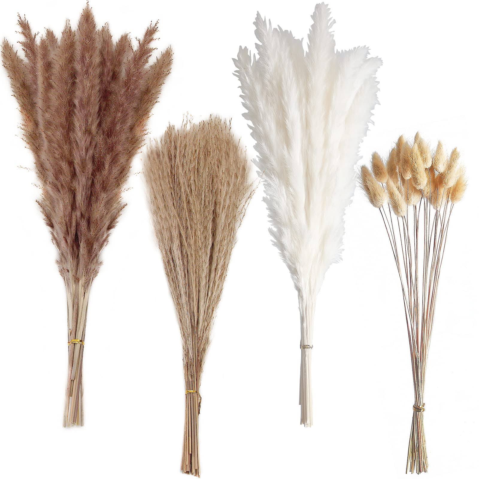 Naunauya 100 Pcs Boho Pampas Grass, Naturally Dried Pompas, Pampas Grass Decor for Wedding , Boho Party Decorations, Table Decor(Brown and White)