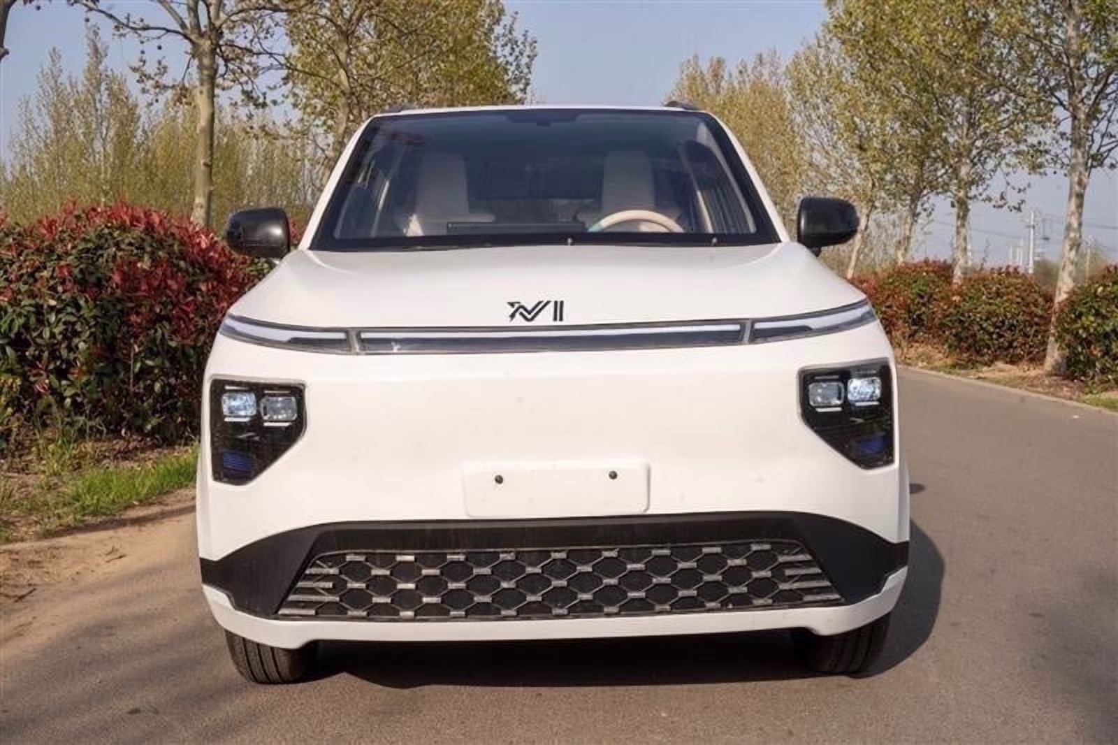 NVII Mini Electric LSV 4-Passenger Low-Speed Vehicle, 25 MPH Top Speed, 90-Mile Range, 3000W/4000W Dual Motors Powered Ride-On(White)