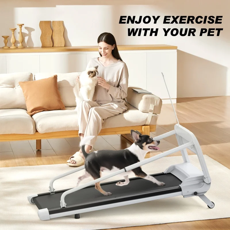 2025 New Quiet Smart Pet Treadmill, Adjustable Speed, Perfect for Small/Medium Dogs - Image 9