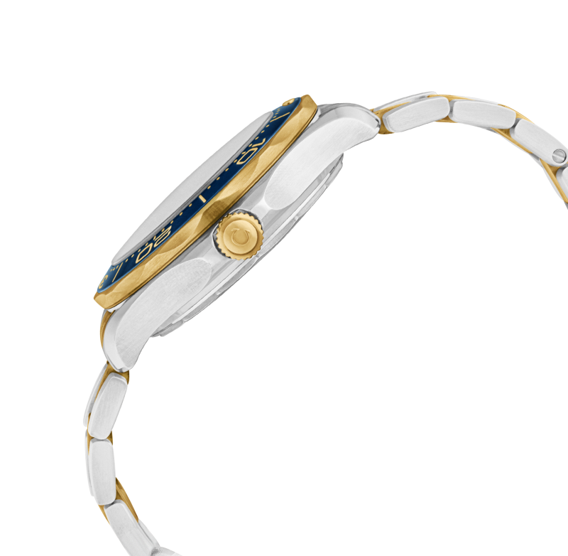 [Super Clone]Omega 210.20.42.20.03.001 Seamaster Diver 300m Co-Axial-Maste - New