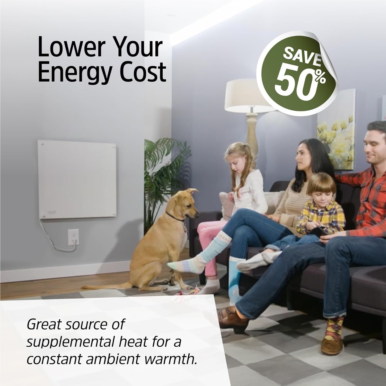 EconoHome Convection Wall Heater with Thermostat - 400W Electric Wall Mounted Space Heater Panel - Updated Model, 120V - Heats Rooms up to 120 Sq Ft