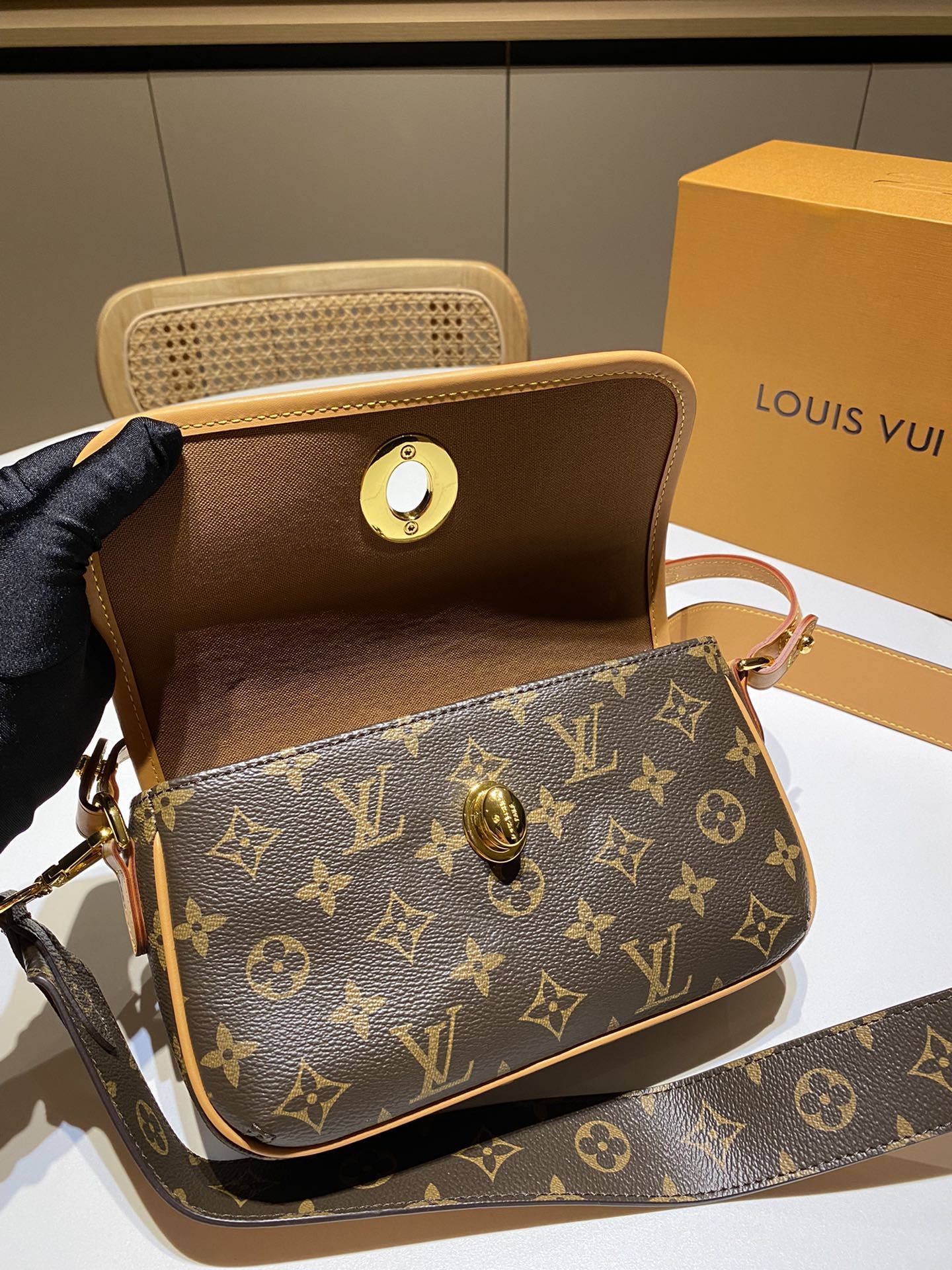 Louis new arrival 2024 bag size: 22x14x8 cm