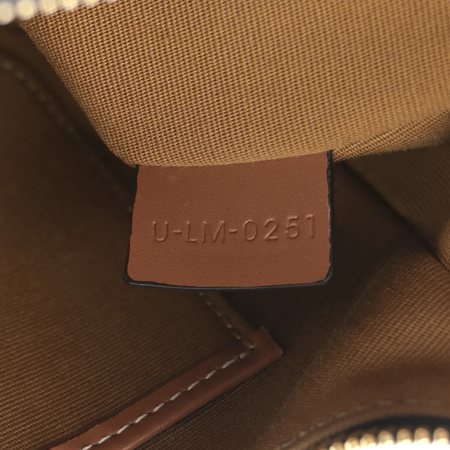 Canvas Calfskin Camouflage Ava Logo Triomphe Shoulder Bag Khaki