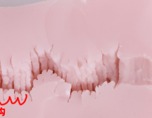 Pasted Image