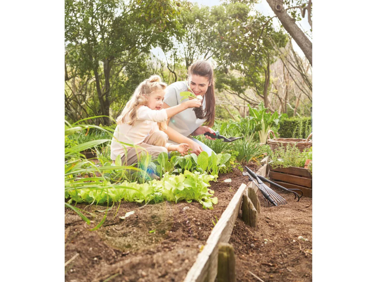 PARKSIDE Kit d'outils de jardin, 5 pices