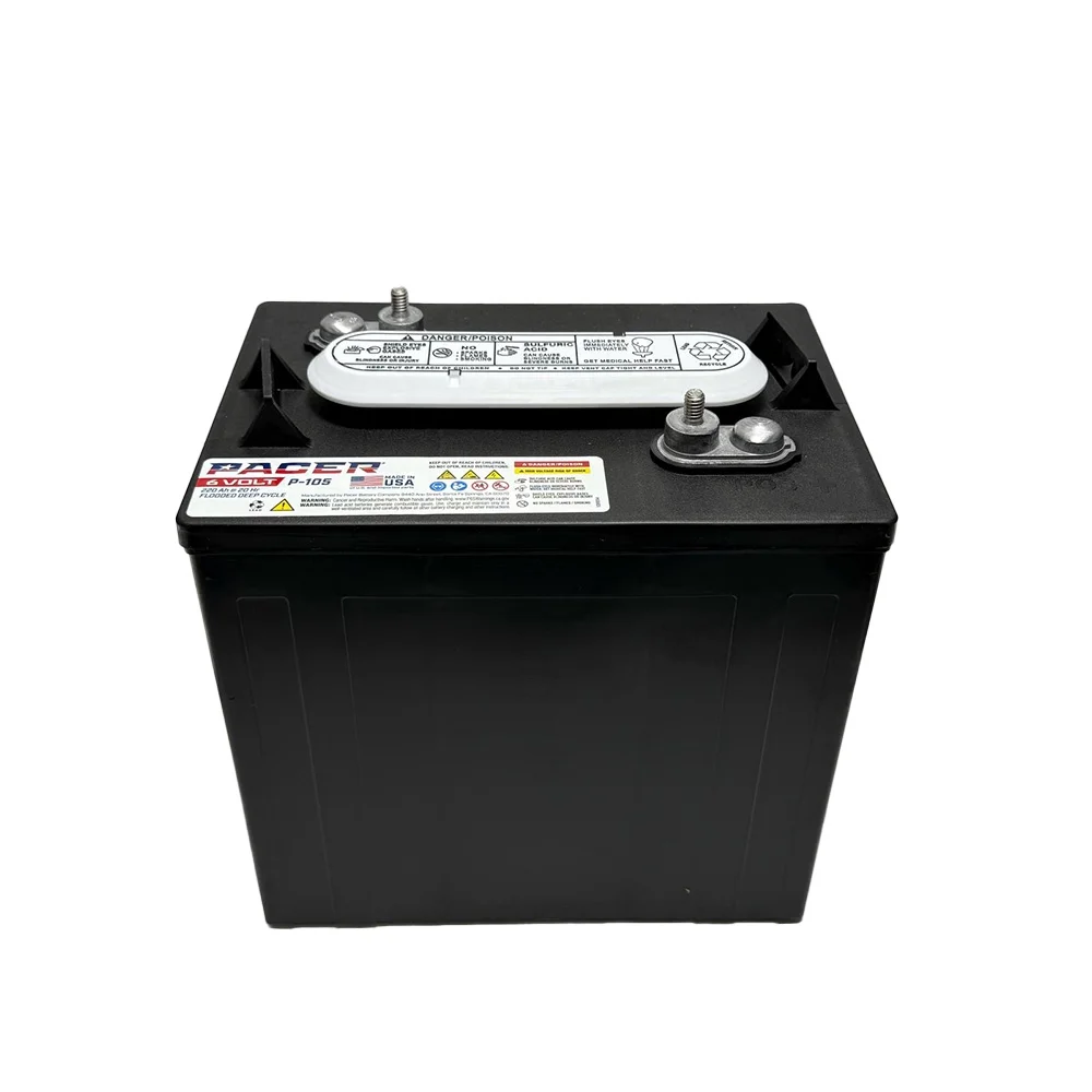 P-105 6 Volt 220Ah Deep Cycle Battery Replaces T-105 | Set of 6(6) - Image 2
