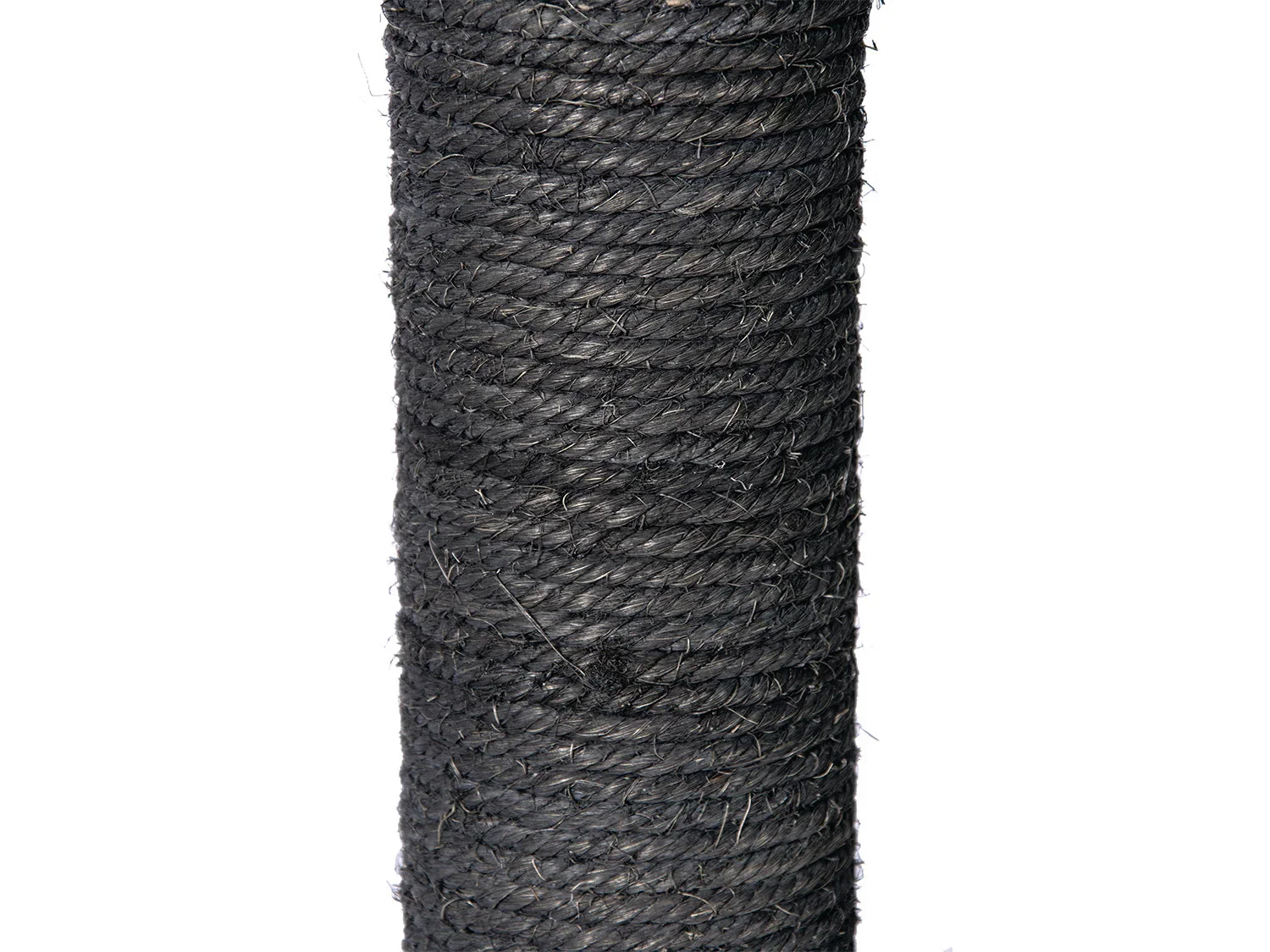 Karlie Arbre  chat, gris