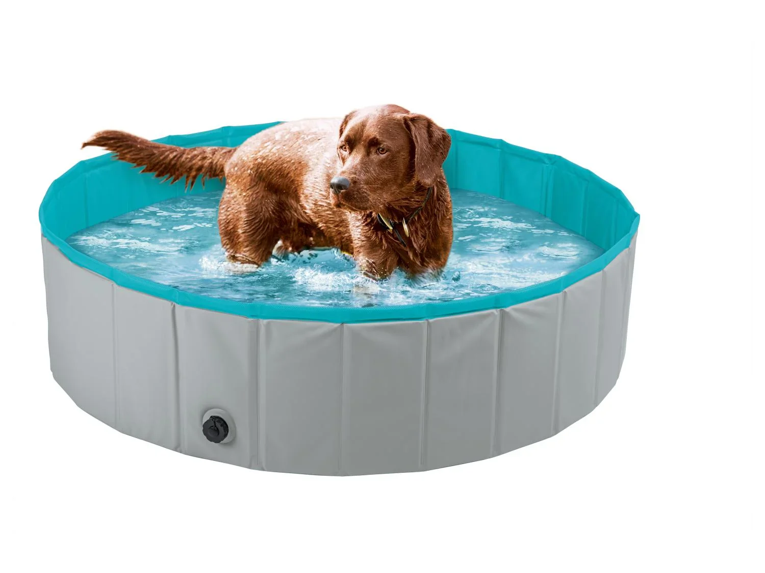 zoofari Piscine pour chien, 120 x 30 cm