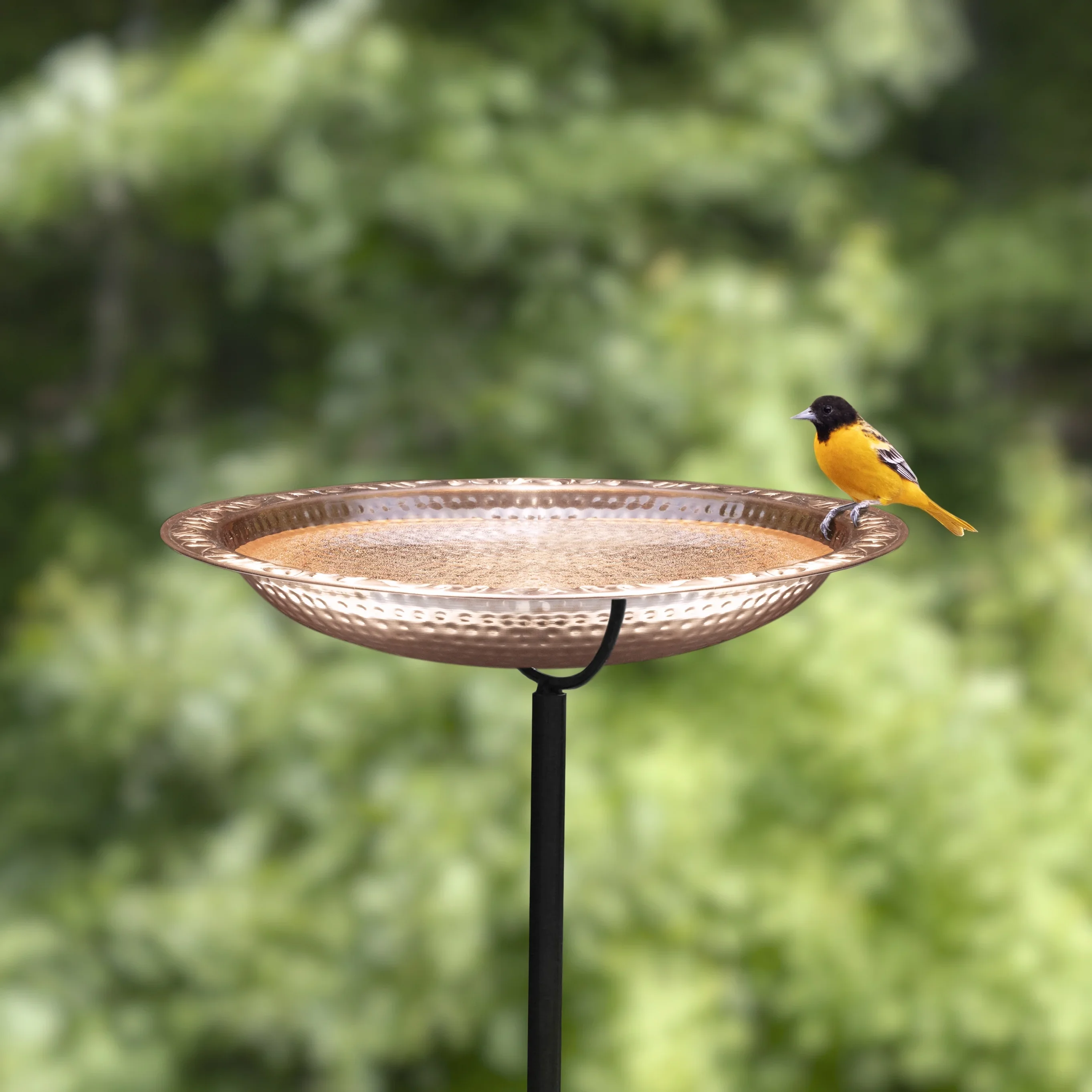 Pure Copper 18 Bird Bath on Garden Pole by Good Directions