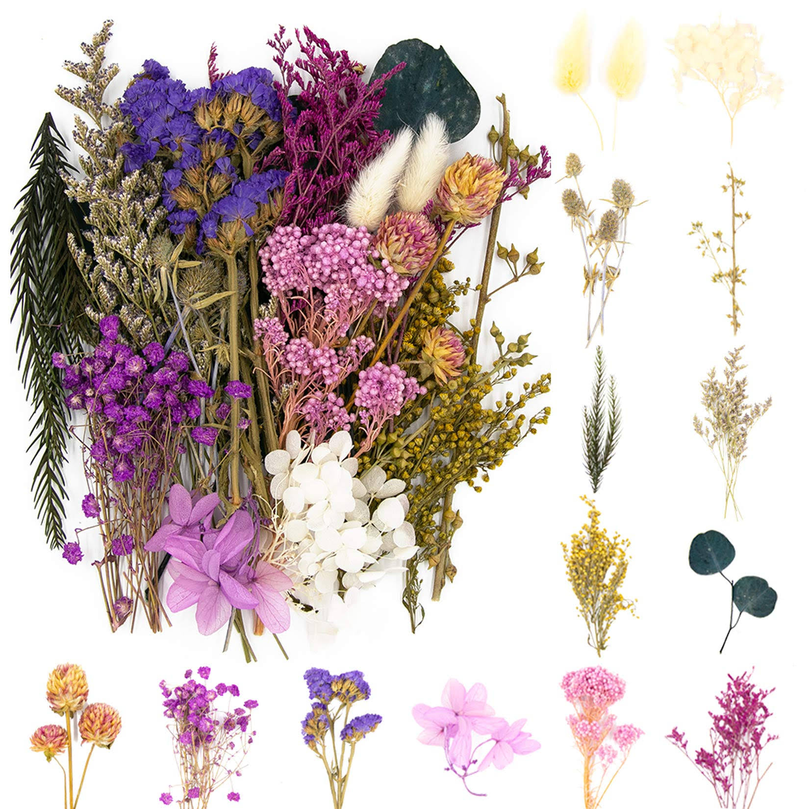 Vignee Real Dried Pressed Leaf Flowers-Multiple Colorful Pressed Flowers Daisies for Craft Resin Jewelry Making Art Craft DIY(Violet)