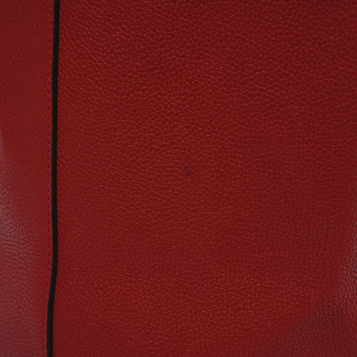 Soft Grained Calfskin Medium Belt Cabas Phantom Coquelicot