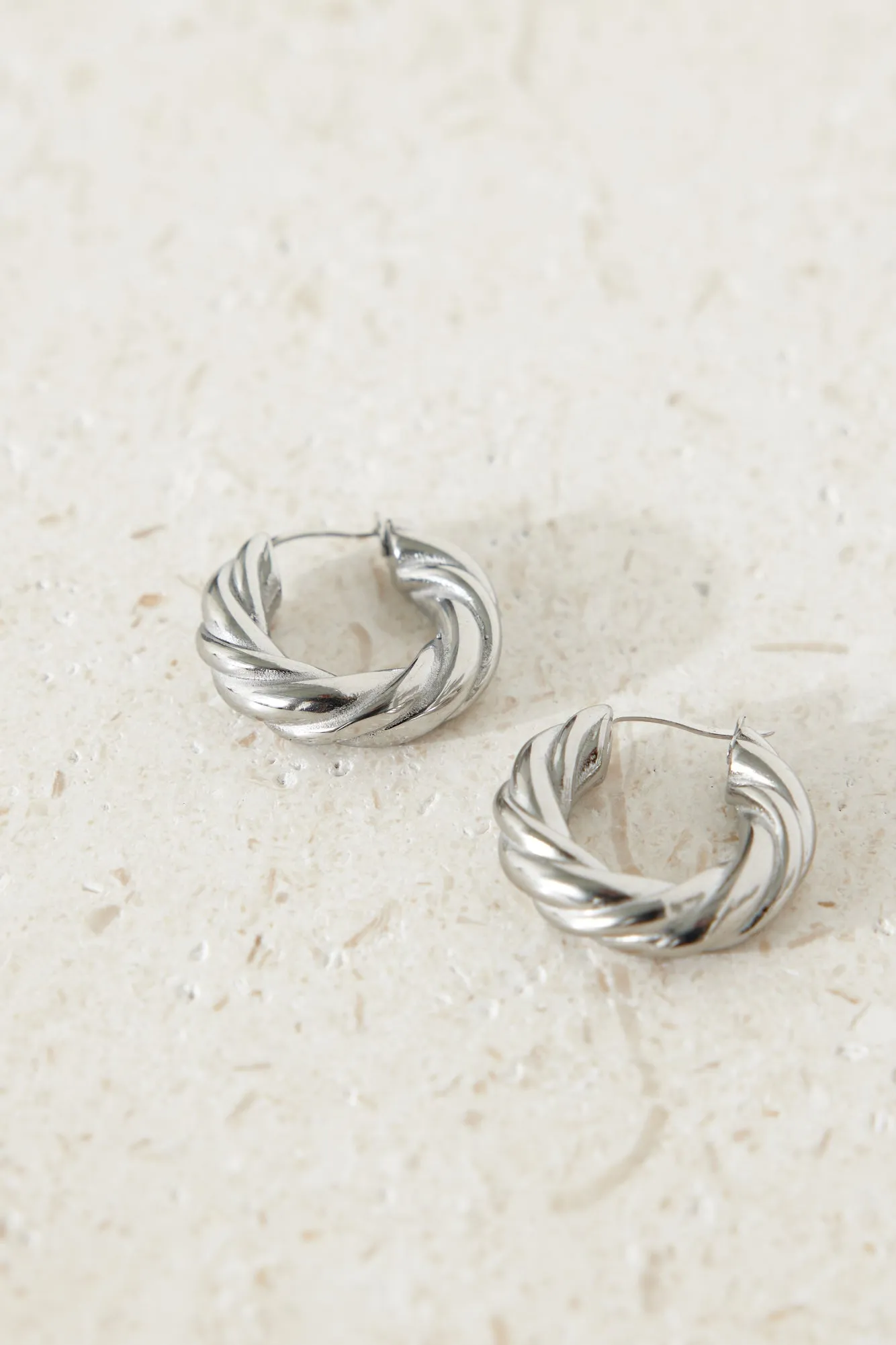 Buried Treasure Earrings Silver