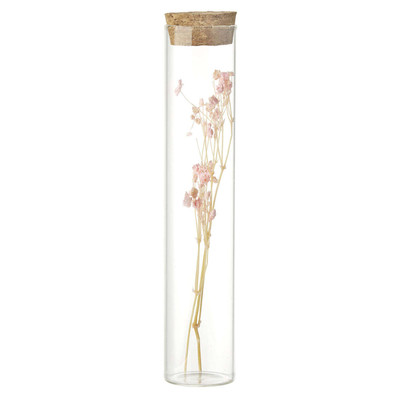 Fleurs séchées dans tube Ø3xH17cm (4 modèles)