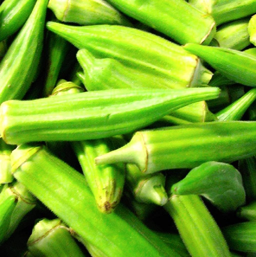 Instant Latch 100 Clemson Spineless Okra Seeds | Non-GMO | Fresh Garden Seeds