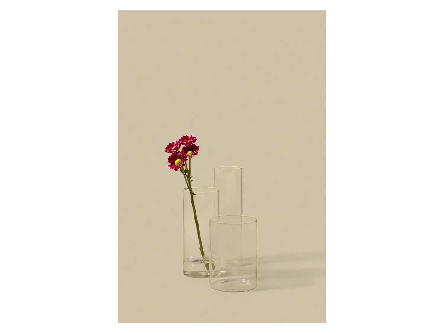 LIVARNO Set de 3 vases