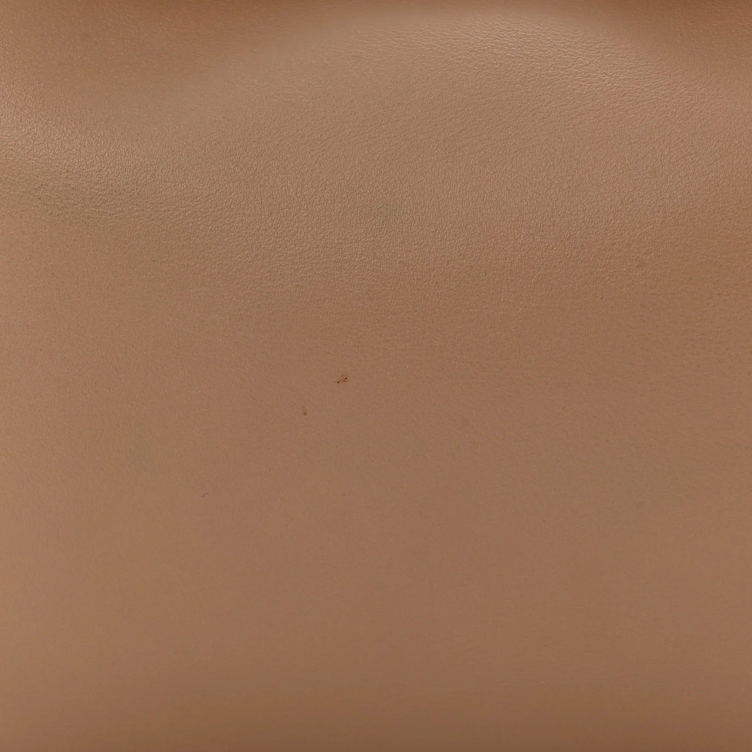 Natural Smooth Calfskin Mini Rodeo Top Handle Handbag Latte