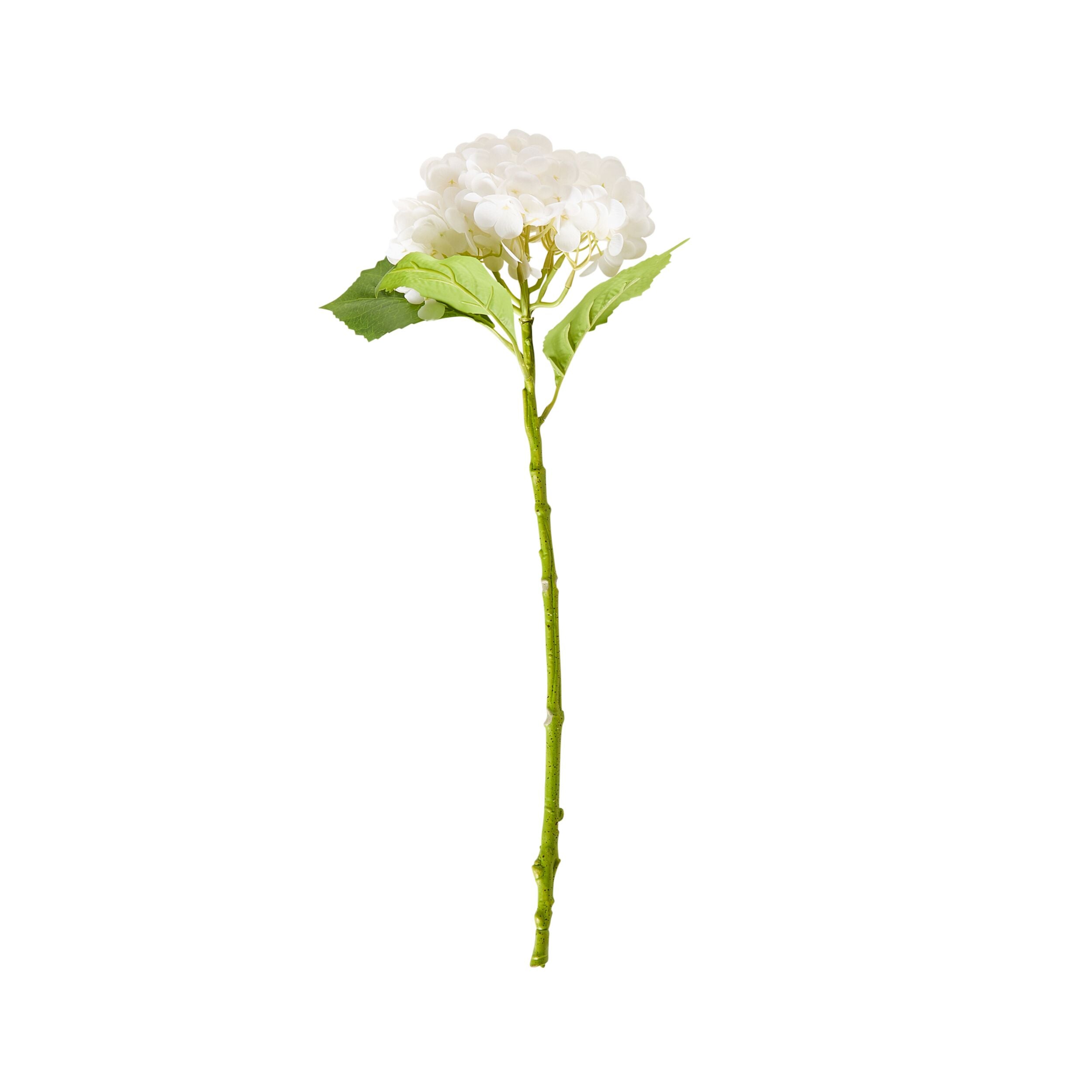 Bloomery Hydrangea Stem White 56cm