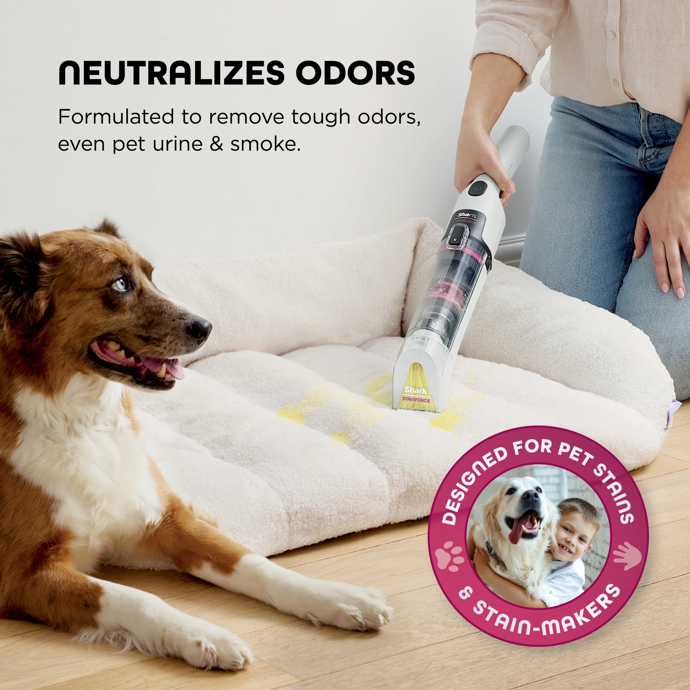 StainForce Cordless Portable Spot, Stain, Odor Remover System for Carpets, Area Rugs, Upholstery, Stairs, Cars, with Storage Caddy, and Full-Size Cleaning Solution, White, HX100 - Image 9