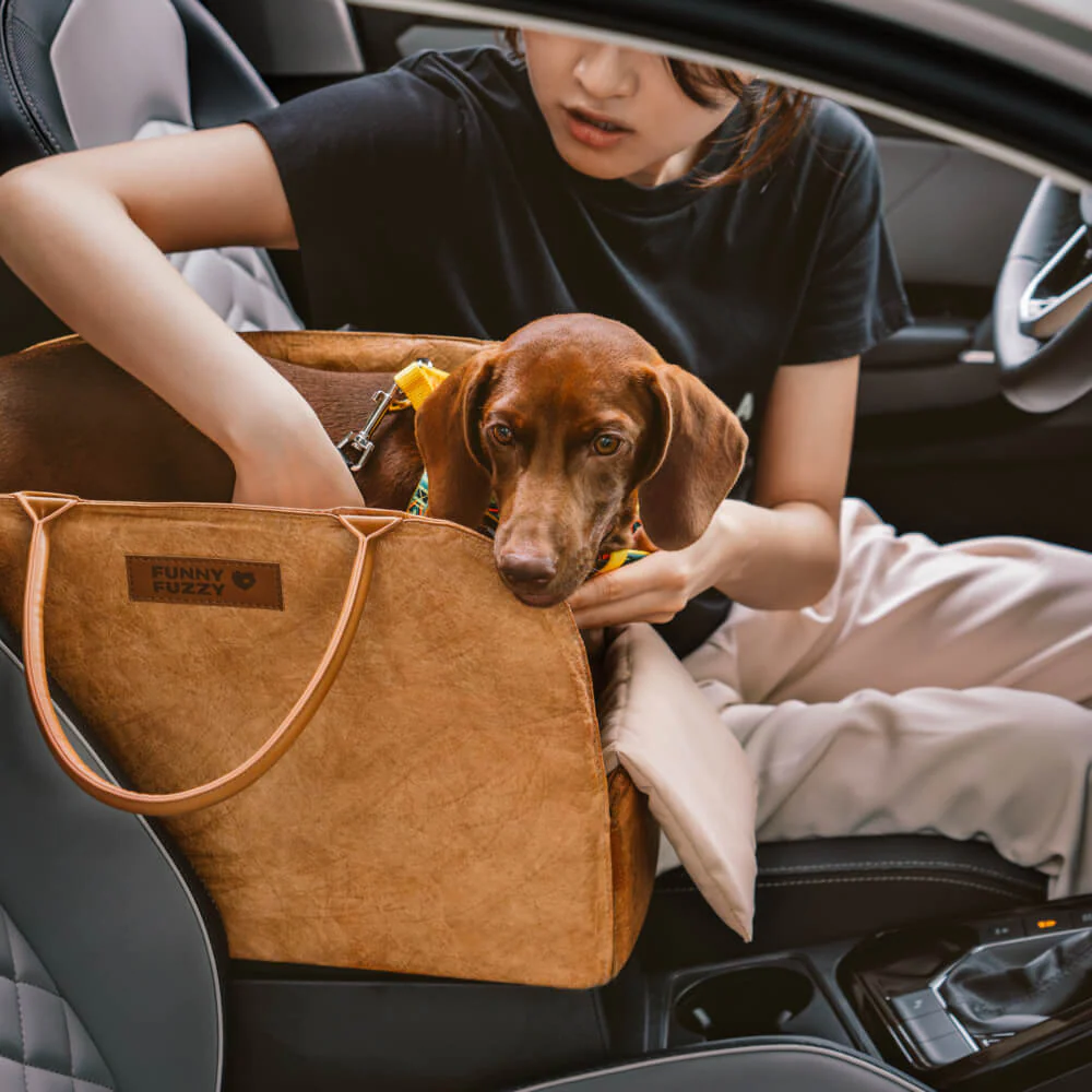 Vogue Eco-friendly Multi-functional Cat&Dog Carrier Pet Travel Bag - City Roamer
