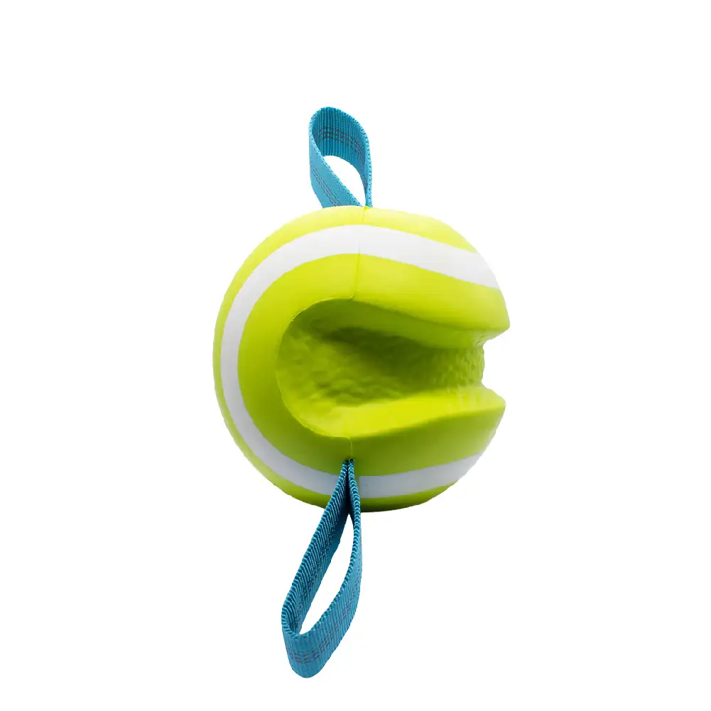 Teething & Play Elastic Interactive Dog Chew Toy