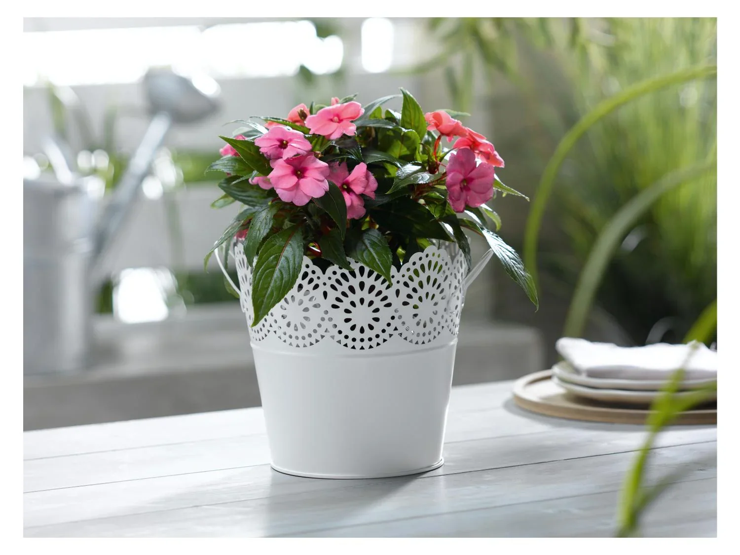 LIVARNO home Cache-pot en mtal