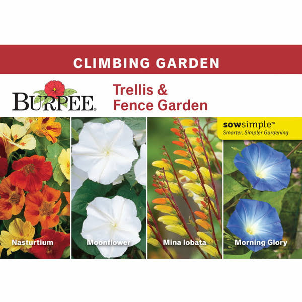 Burpee Trellis & Fence Garden Starter Garden Flower Seed Collection - 1 Pack
