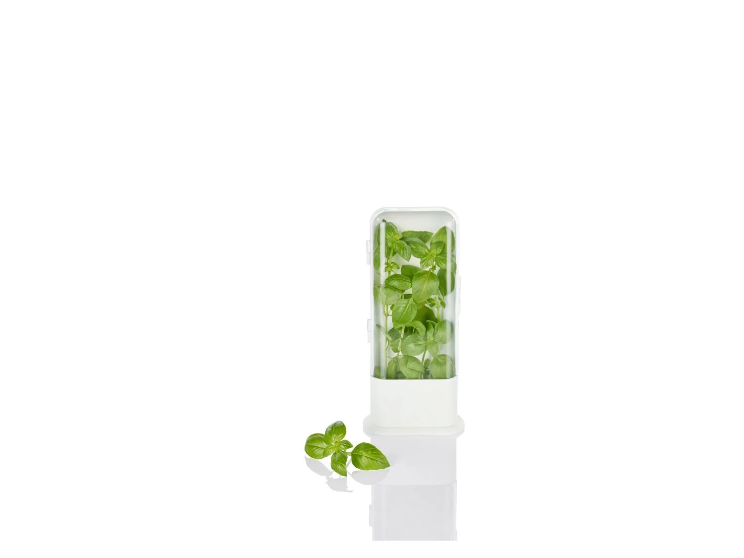 LIVARNO home Bote(s) fracheur pour herbes aromatiques