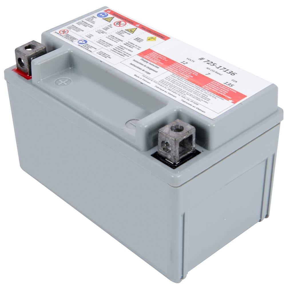 Cub Cadet 12-Volt Absorbent Glass Mat (AGM) Battery - 135 CCA