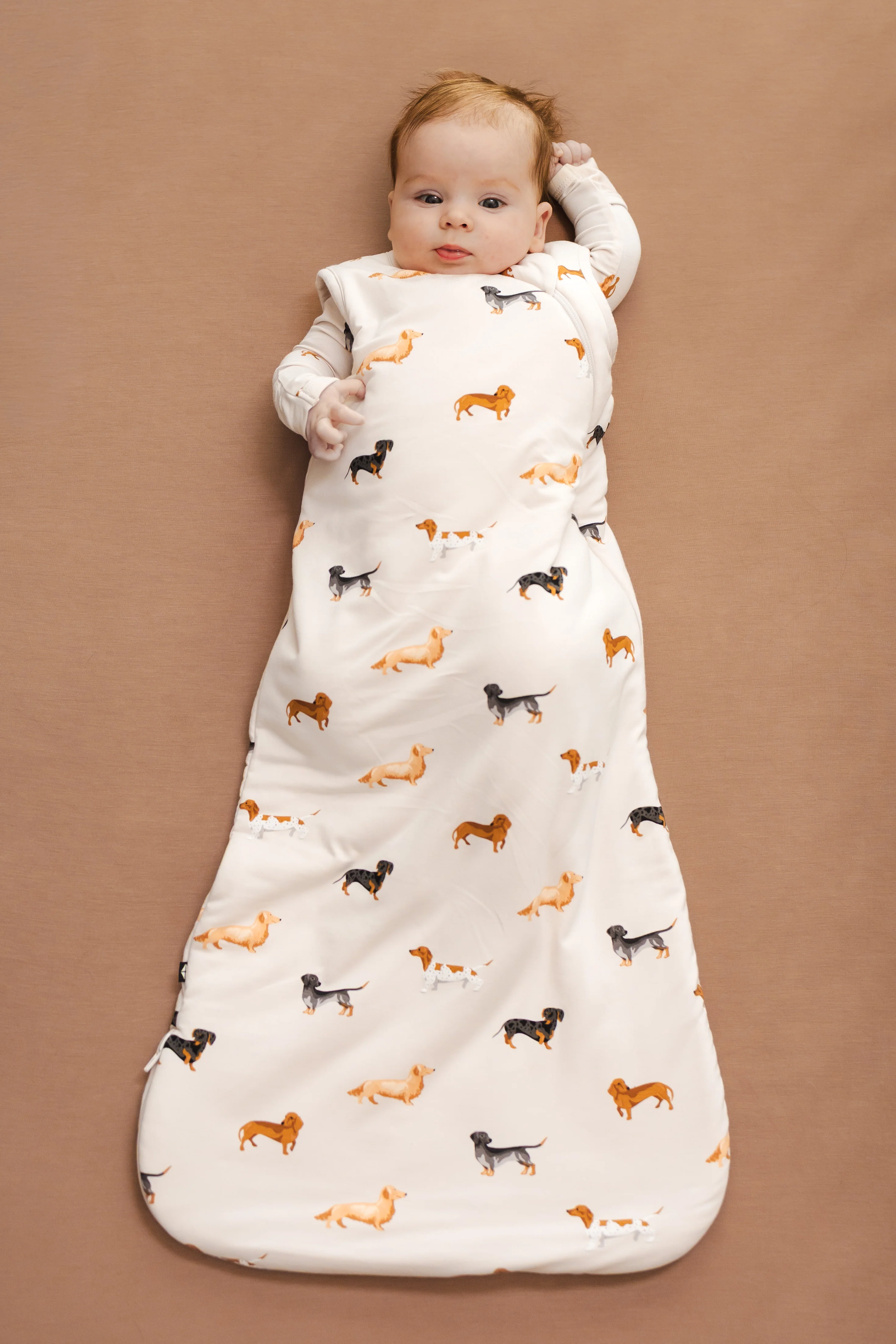 Sleep Bag in Dachshund 1.0
