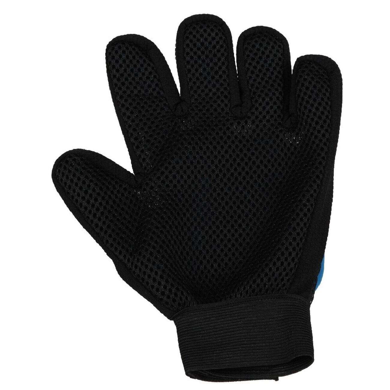 Gant de brossage pour chien et chat