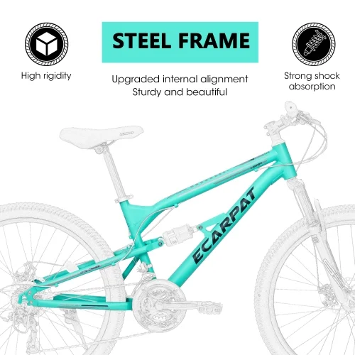 Raistyw 26 inch Mountain Bike for Adult, Shimano 21-Speed Steel Frame Bicycle with Disc Brakes and Shock Fork, Blue and Green
