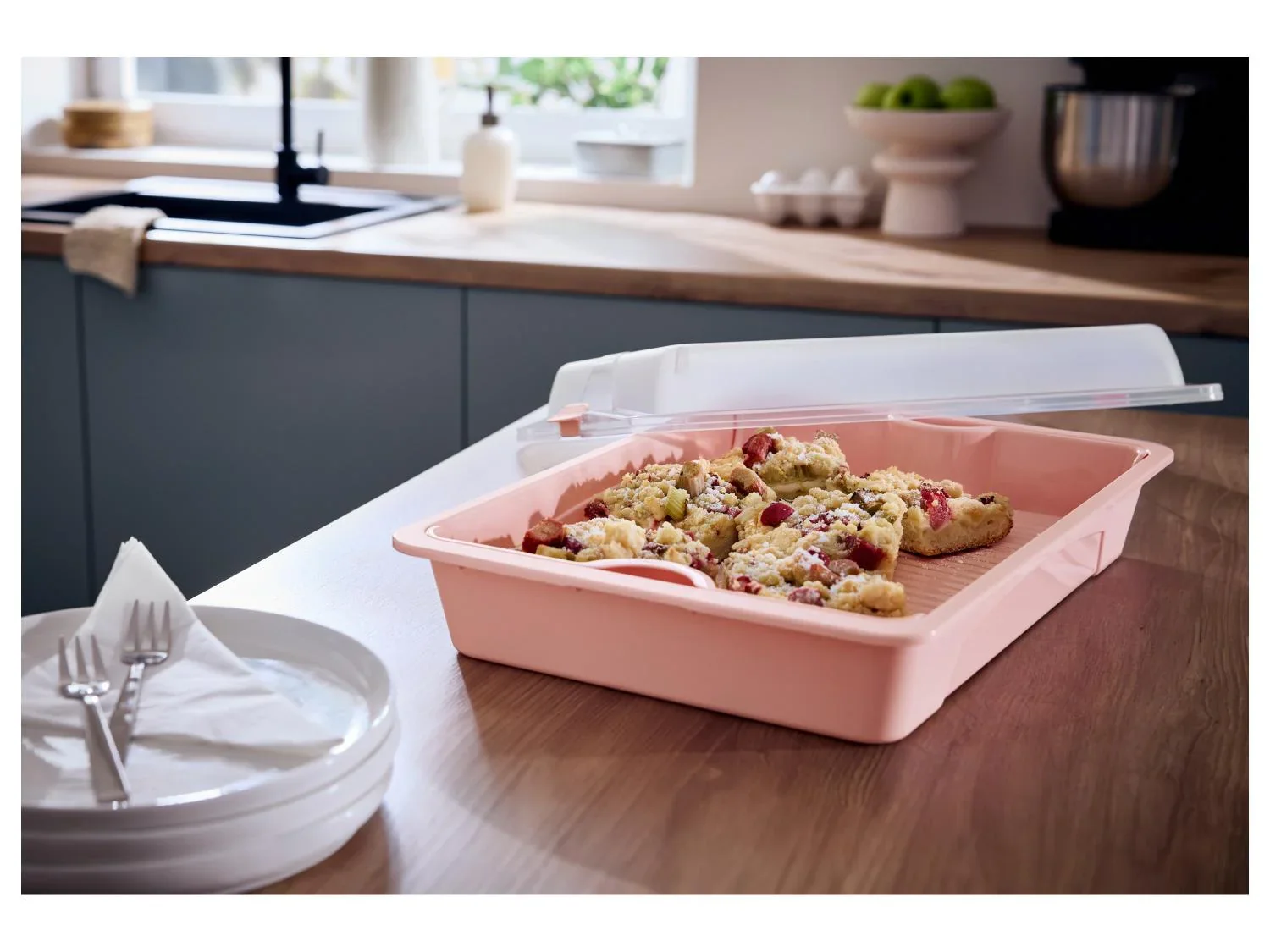 SILVERCREST Botes repas fracheur ou Bote fracheur ou Cloche  gteau fracheur