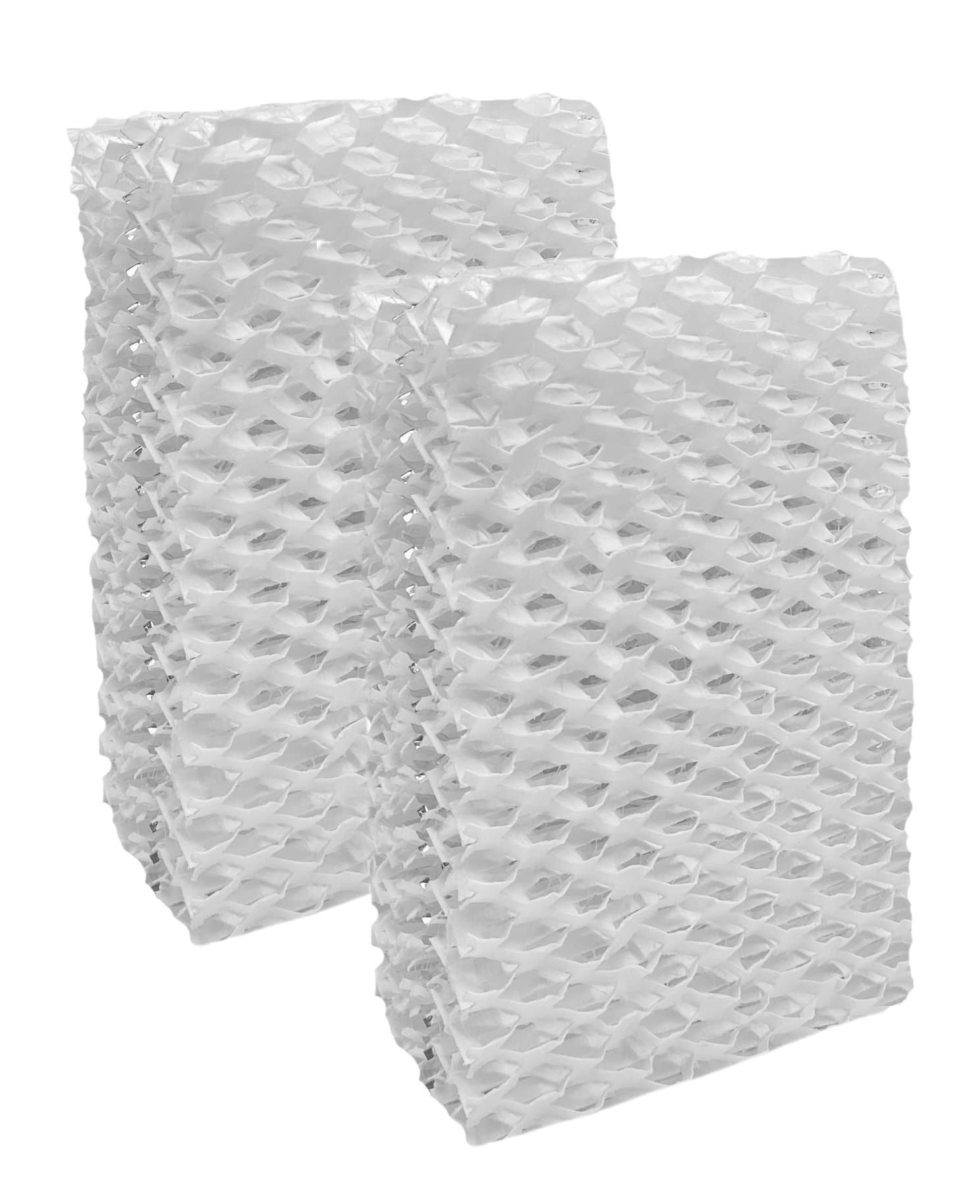 Air Filter Factory 2 Pack Compatible Replacement for Relion Rcm-832 Humidifier Wick Filters