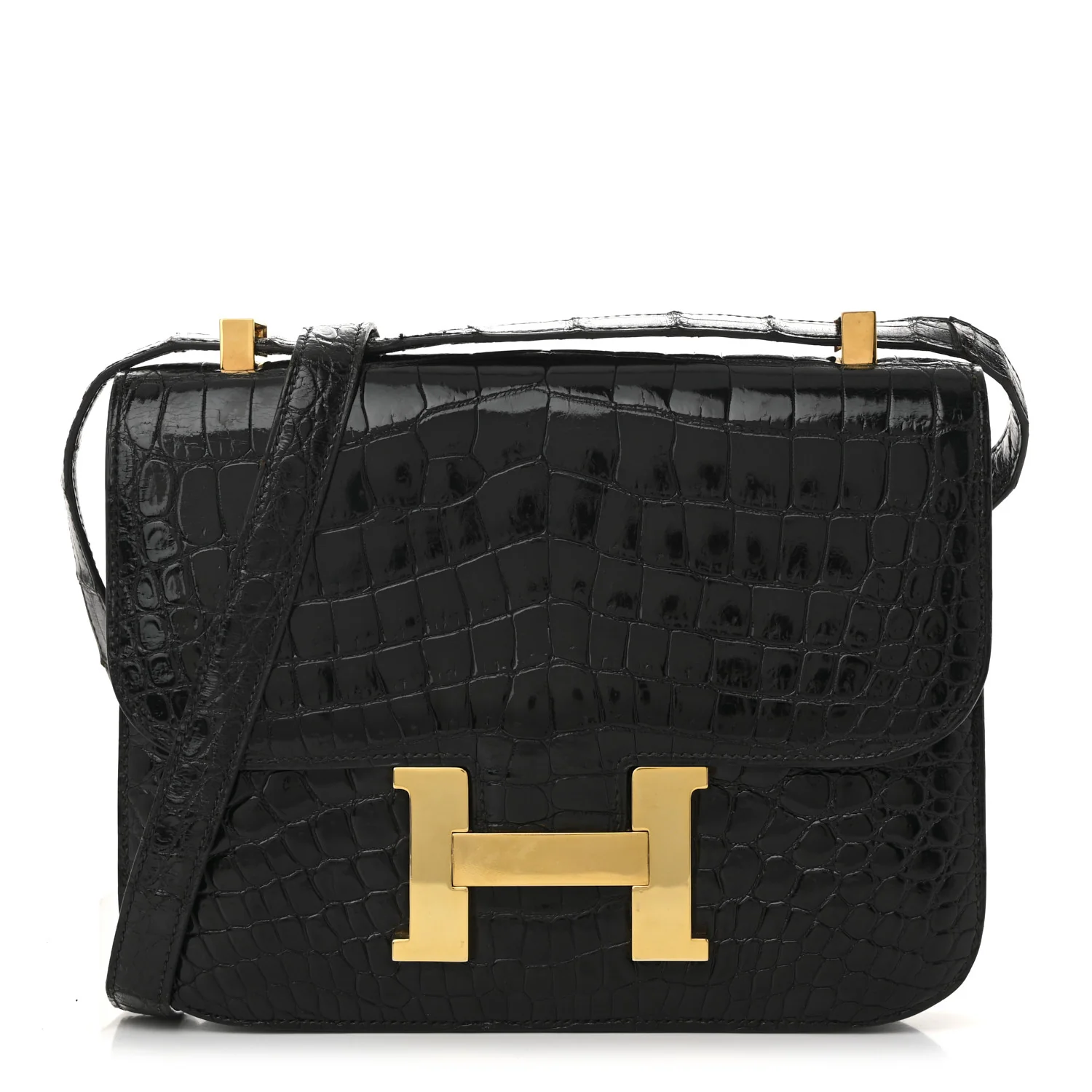 Shiny Caiman Crocodile Constance 23 Black