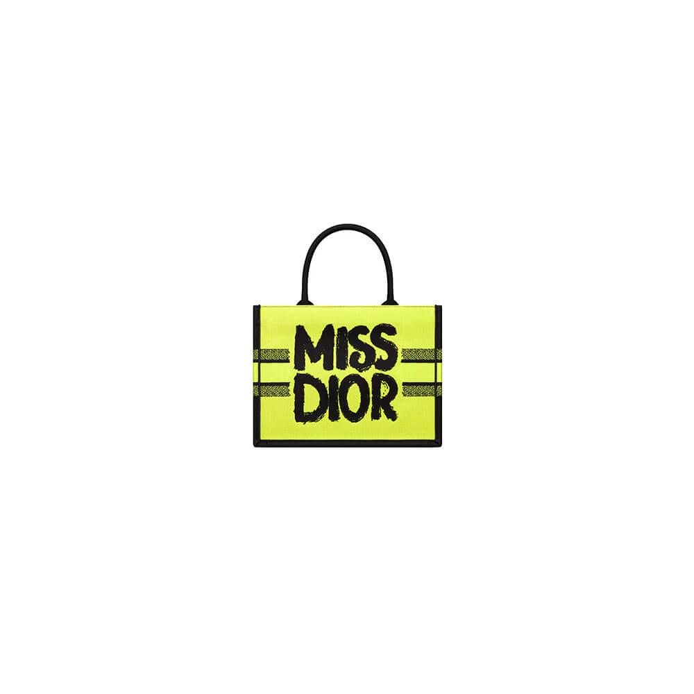 Small Dior Book Tote