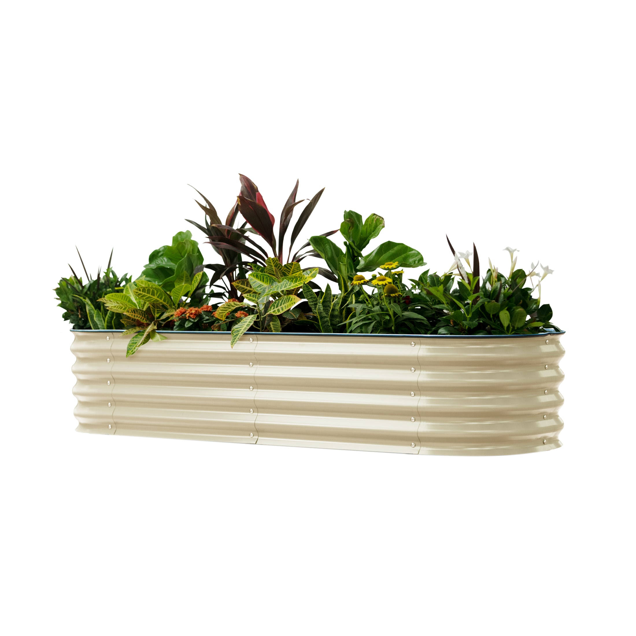 Self-Watering Garden Bed | Vego Garden, Pearl White / 2 x 4 ft