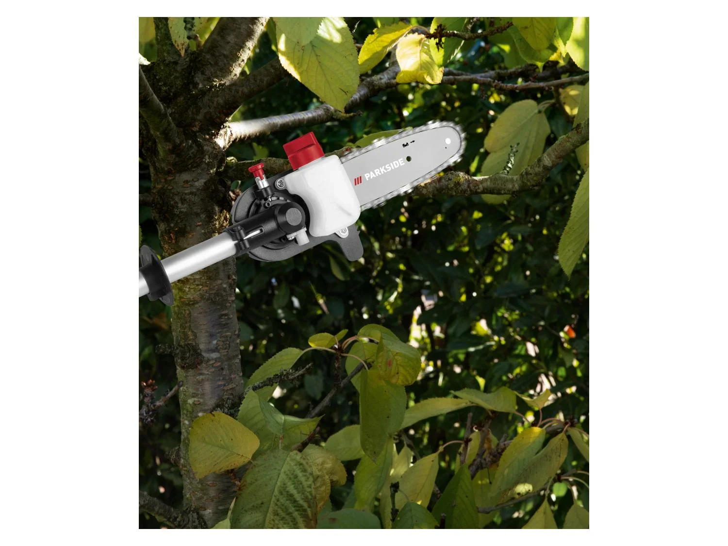 PARKSIDE Outil de jardin multifonction sans fil AKG 40-Li A1, 40 V