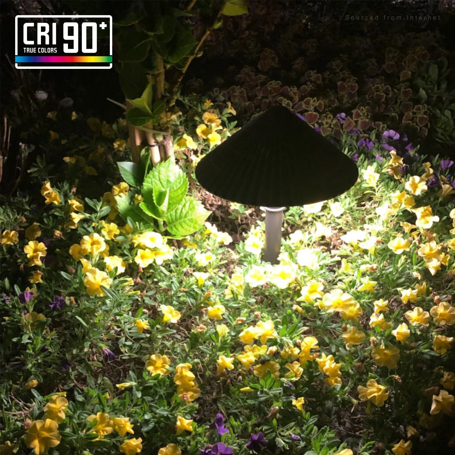 12 Pack 5CCT LED Pathway Landscape Lights, 1800K/2700K/3000K/4000K/5000K Selectable, 12-24V AC/DC Low Voltage, IP65 Waterproof, Oil Rubbed Bronze, Aluminum Housing