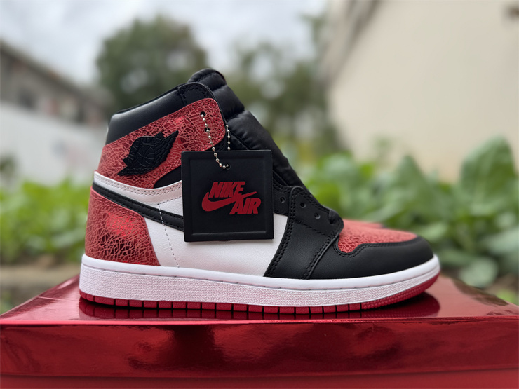 Air Jordan 1 High OG WMNS 