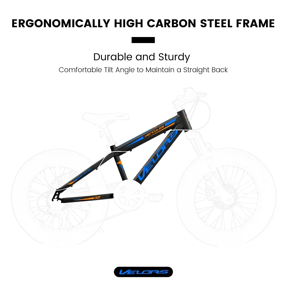 20 Inch Fat Tire Bike Adult 7 Speed Mountain Bike, Dual Disc Brakes, High Carbon Steel Frame, Front Suspension, Mountain Buggy, City Commuter City Bike, Fat Tire Bike   Black