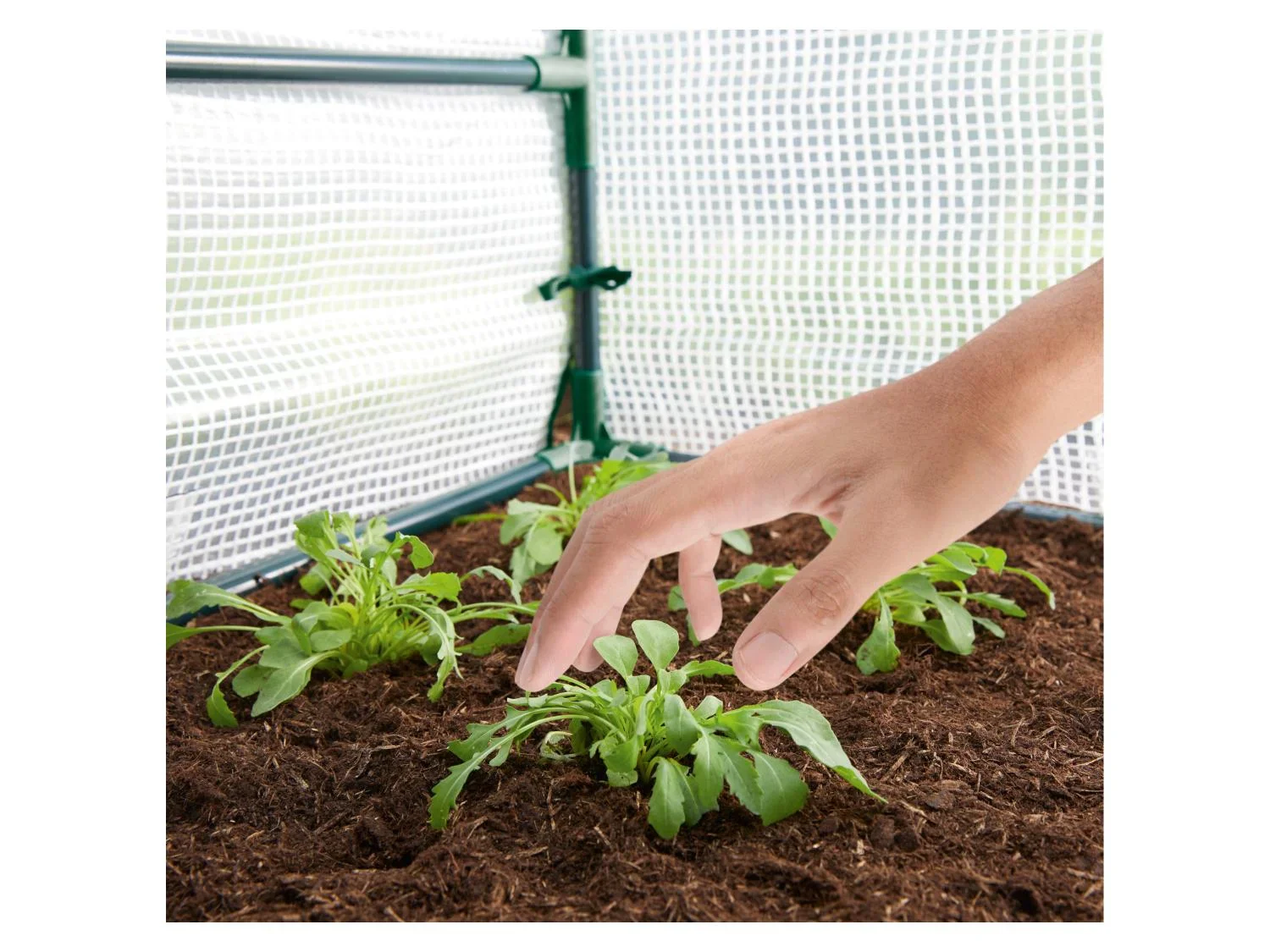 PARKSIDE Serre(s) de jardin en film plastique